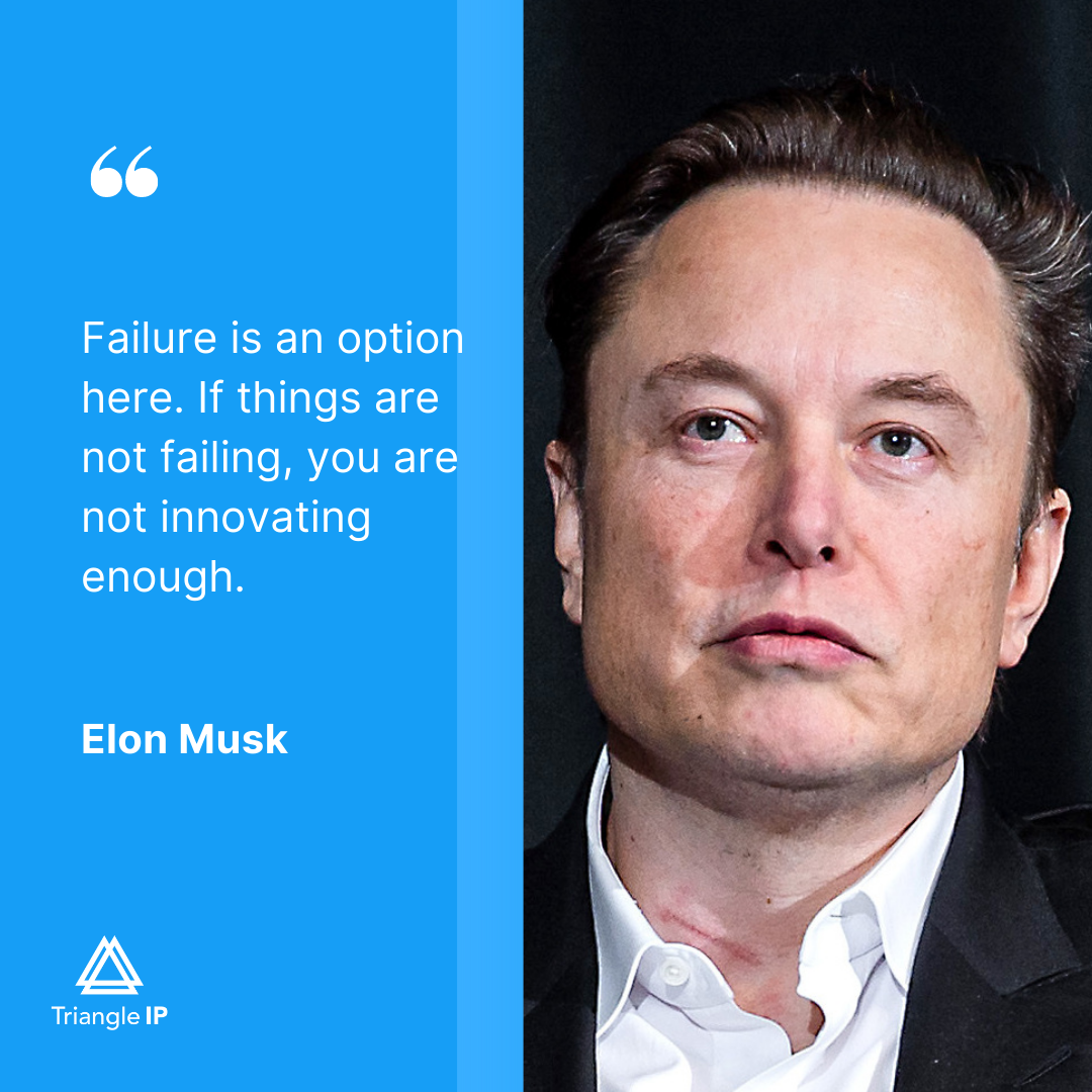 Innovation Quote - Elon Musk