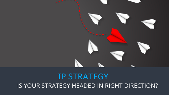 Triangle IP - Is my IP strategy headed in right direction?