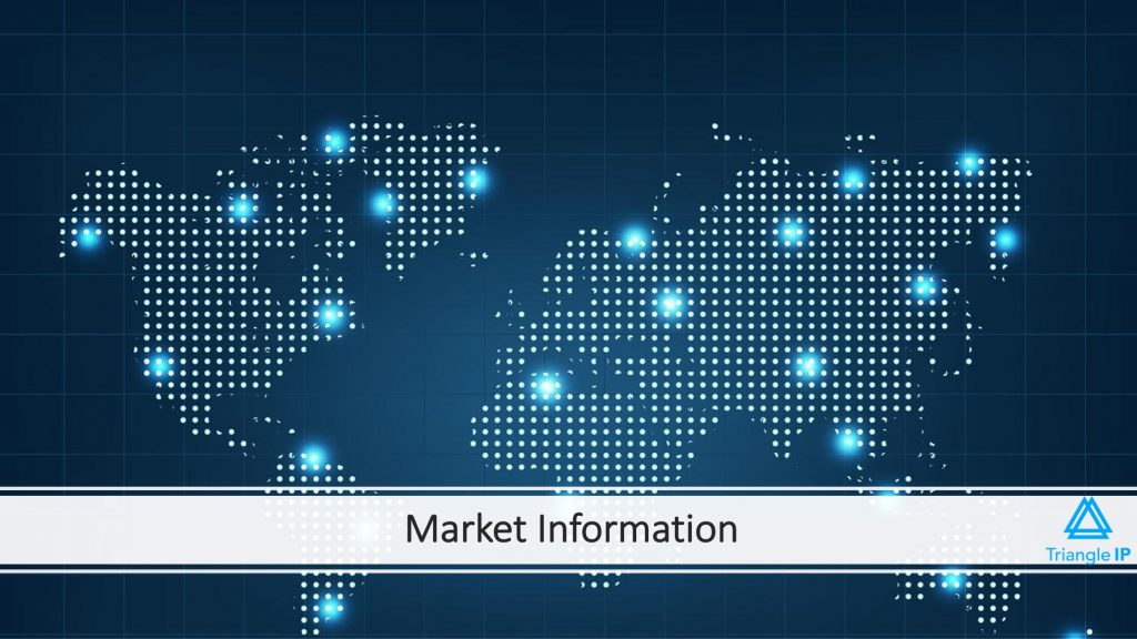 Market Information | Example - Foreign Patent Filings