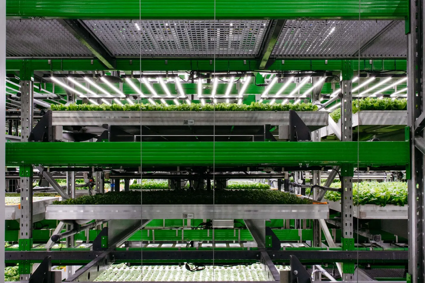 vertical farming companies - Bowery Farming Inc.