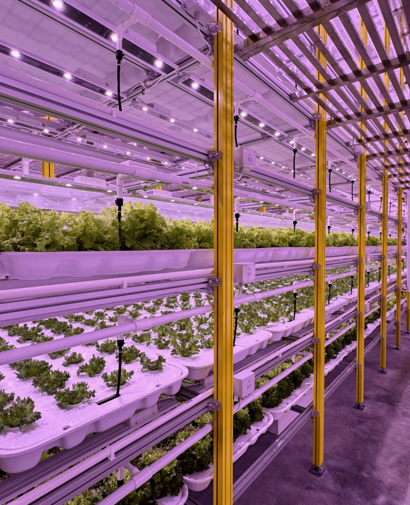 vertical farming companies - AGEYE Technologies, Inc. 