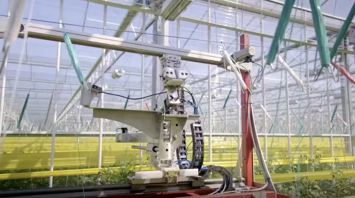 green technology innovation: Plant Lowering Robot (PLR) by Arugga AI Farming
