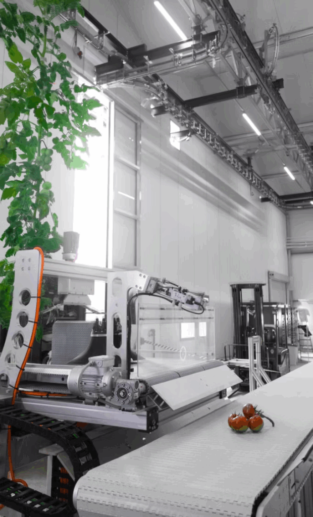 15 Green Technology Innovation You Need to Know in 2025