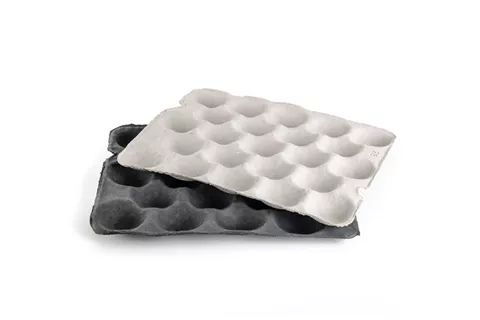 Sustainable Packaging Innovations- Meal tray