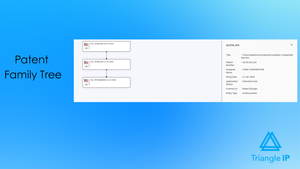 Patent family tree visualization in the TIP Tool patent portfolio management software illustrating parent, continuation, and related patent applications.