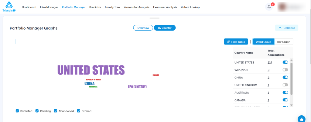 Triangle IP Portfolio Manager dashboard showing a word cloud and data table of patent applications by country.